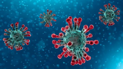 Cornoavirus: alcuni chiarimenti